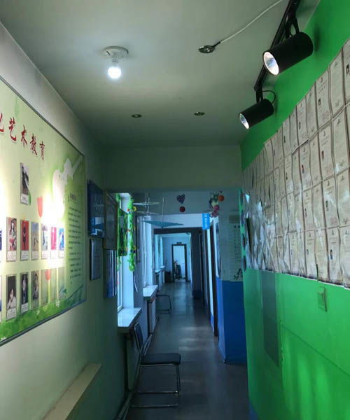 企業風采 內蒙古藝之聲教育信息咨詢的卓越之路